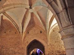 149 CHATEAU DE MONTREUIL BELLAY MAINE ET LOIRE 2016_000050